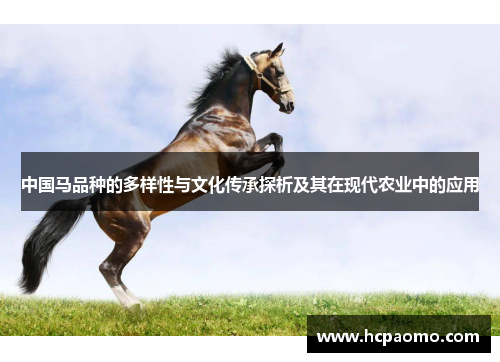 中国马品种的多样性与文化传承探析及其在现代农业中的应用