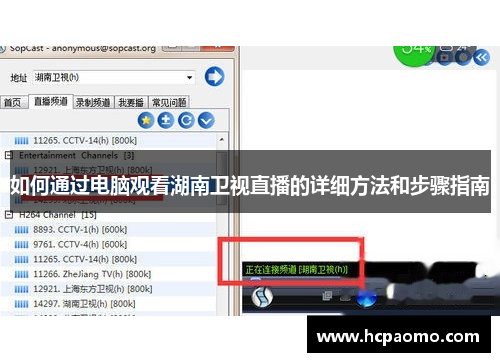 如何通过电脑观看湖南卫视直播的详细方法和步骤指南