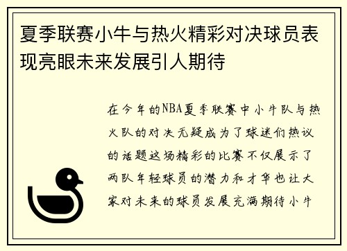 夏季联赛小牛与热火精彩对决球员表现亮眼未来发展引人期待