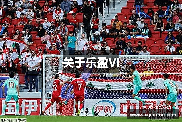 关于乐盈VI
